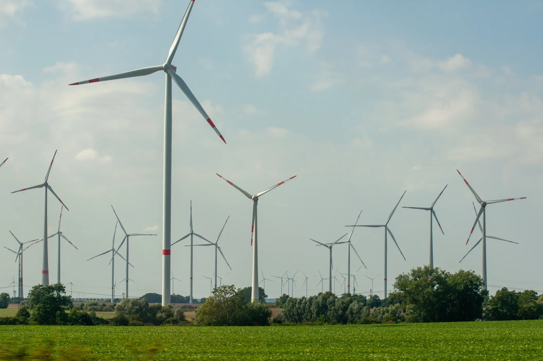 Sustainability Programs