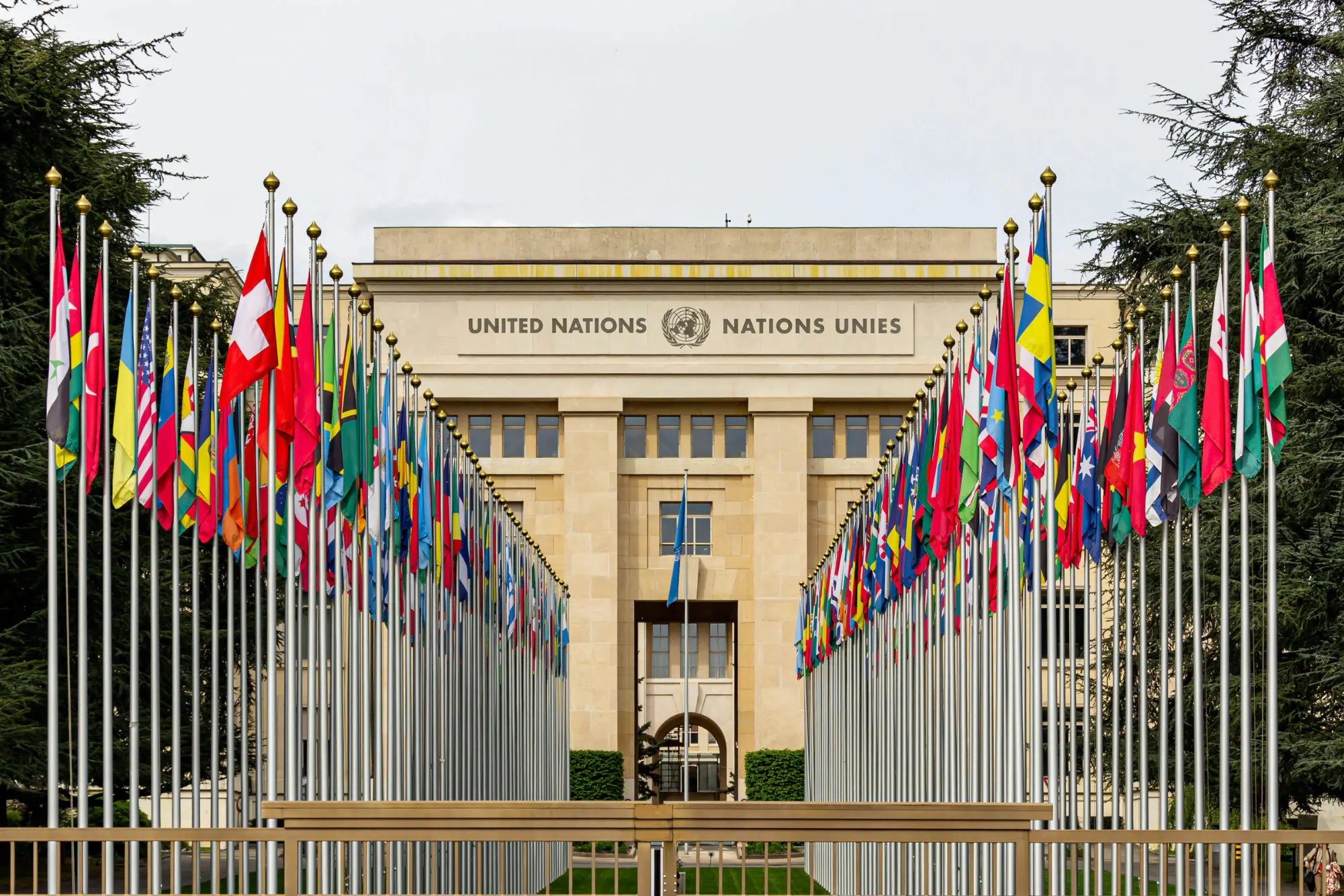 Governance Systems